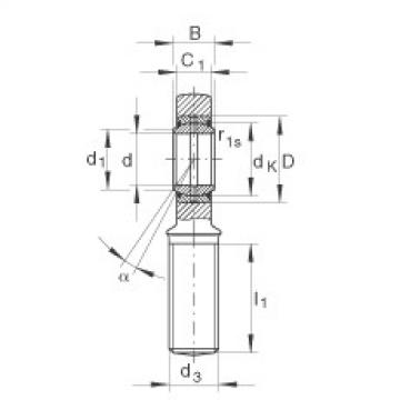 FAG timken 15245 wheel bearing Rod ends - GAL20-DO