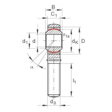 FAG 6203 bearing skf Rod ends - GAKR18-PW