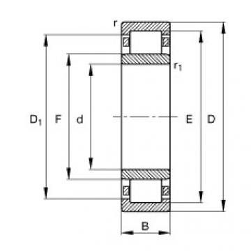 Cylindrical Roller Bearings Distributior NU1005-M1 FAG