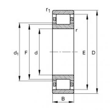 Cylindrical Roller Bearings N206-E-TVP2 FAG