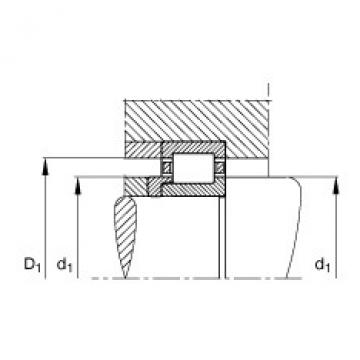 FAG 608 bearing skf Cylindrical roller bearings - NJ2212-E-XL-TVP2 + HJ212-E