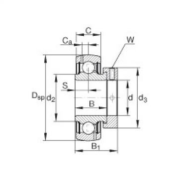 FAG kode bearing skf cak Radial insert ball bearings - GRA012-NPP-B-AS2/V