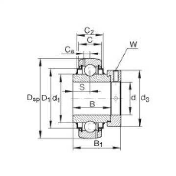 FAG elges 618 10y Radial insert ball bearings - G1110-KRR-B-AS2/V