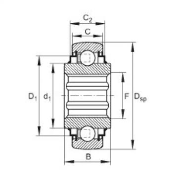 FAG timken bearing hh 228310 Self-aligning deep groove ball bearings - SK106-208-KRR-B-L402/70