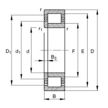 FAG ntn flange bearing dimensions Cylindrical roller bearings - NUP2218-E-XL-TVP2