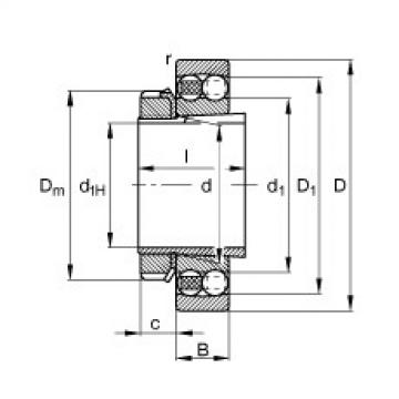 FAG 6203 bearing skf Self-aligning ball bearings - 1219-K-M-C3 + H219