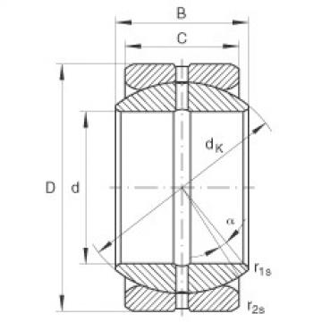 plain bushings bearings GE19-ZO INA