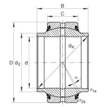 plain bushings bearings GE20-HO-2RS INA