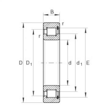 cylindrical bearing nomenclature SL1818/500-E-TB INA