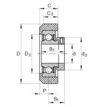 Bearing Original Brand RCRA20/46-FA106  INA   