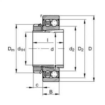 FAG fl205 bearing housing to skf Self-aligning ball bearings - 2208-K-2RS-TVH-C3 + H308