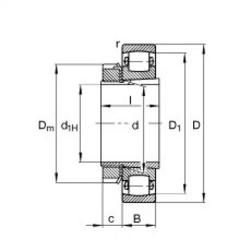 FAG bearing racing skfseri bearingnya c4 Barrel roller bearings - 20313-K-MB-C3 + H313