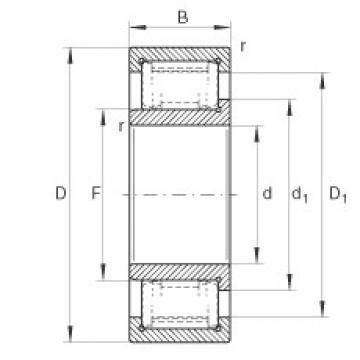 FAG ntn 6003z bearing dimension Cylindrical roller bearings - ZSL192320-TB-XL