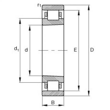 Cylindrical Roller Bearings N1008-K-M1-SP FAG