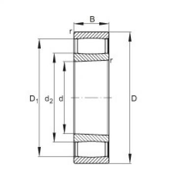 FAG ราคา bearing nsk 7001a5 ctynsulp4 Toroidal roller bearings - C4044-XL-K30-V