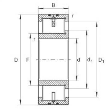 Cylindrical Roller Bearings LSL192316 INA