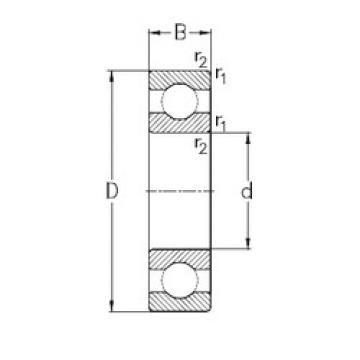 Bearing catalog 16021 NKE