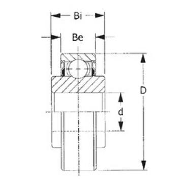 Bearing catalog 206KRR8 CYSD