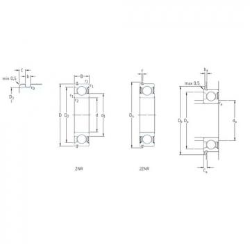 Bearing catalog 206-2ZNR SKF