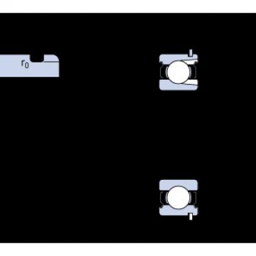 Bearing catalog 314-2ZNR SKF