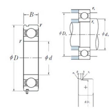 Bearing BALL BEARING 6010 ZZ SKF online catalog 62/32N  NSK   