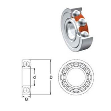 Bearing catalog 6002-2Z.T9H.C3 ZEN