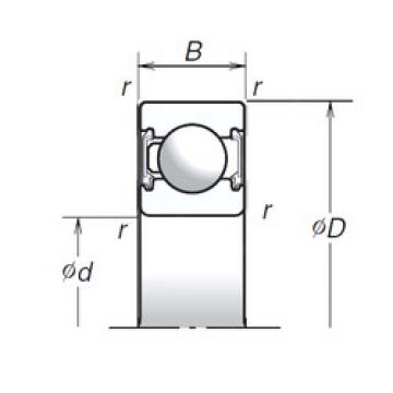 Bearing F553855 INA online catalog 6205T1XVV  NSK   