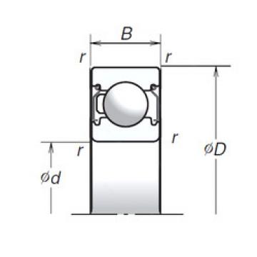 Bearing BEARING INA F 61801.2 RS online catalog 6206T1XZZ  NSK   