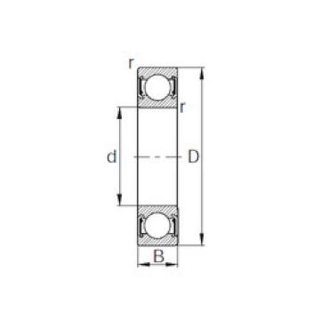 Bearing BEARING INA F 61801.2 RS online catalog 6203UU  KBC   