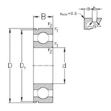 Bearing catalog 6012-N NKE