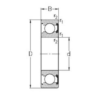 Bearing catalog 6013-2RSR NKE