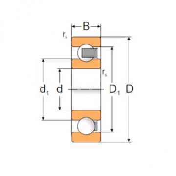 Bearing ABB WEG SKF DISTRIBUTORS online catalog 61921P  MPZ   