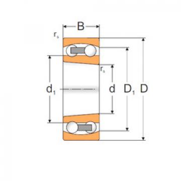 Self-Aligning Ball Bearings 1210EKP MPZ