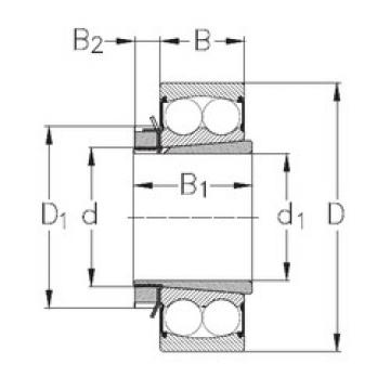 Self-Aligning Ball Bearings 2209-K-2RS+H309 NKE