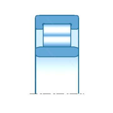 cylindrical bearing nomenclature R0694V NTN