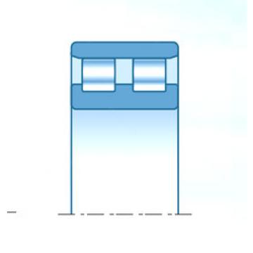 cylindrical bearing nomenclature RNNU12203 NTN