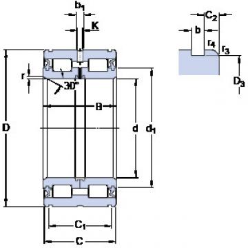 Cylindrical Roller Bearings 319436 DA-2LS SKF