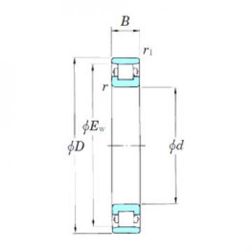 Cylindrical Roller Bearings 3NCN1009 KOYO