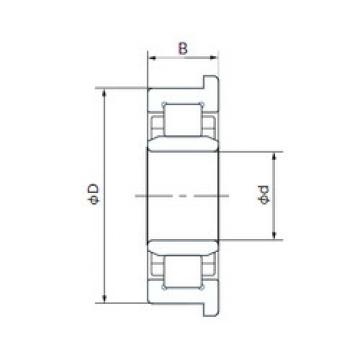 Cylindrical Roller Bearings 512099TVP2 FAG