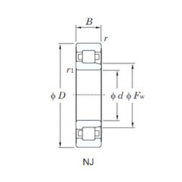 Cylindrical Bearing NJ204R KOYO