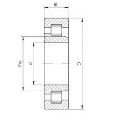 Cylindrical Bearing NJ1007 CX