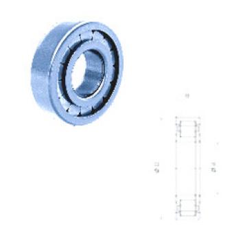 cylindrical bearing nomenclature NUP308FM Fersa