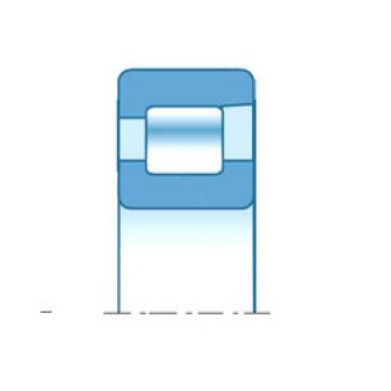 Cylindrical Bearing NFV2205 NTN