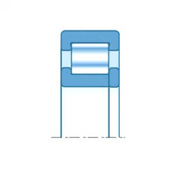 cylindrical bearing nomenclature NUP306 NTN