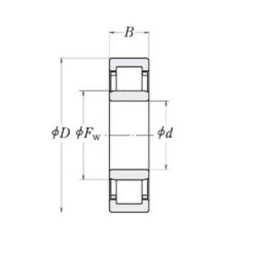 Cylindrical Roller Bearings LLRJ1.3/4 RHP