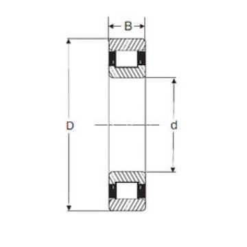 cylindrical bearing nomenclature RXLS 1.3/4 SIGMA