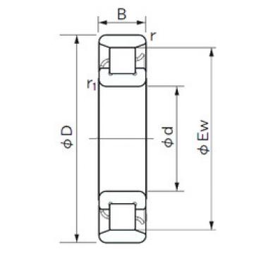 Cylindrical Roller Bearings N 1007 NACHI