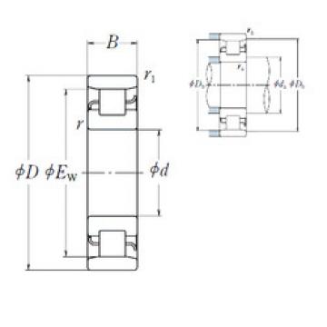 Cylindrical Roller Bearings N 219 NSK