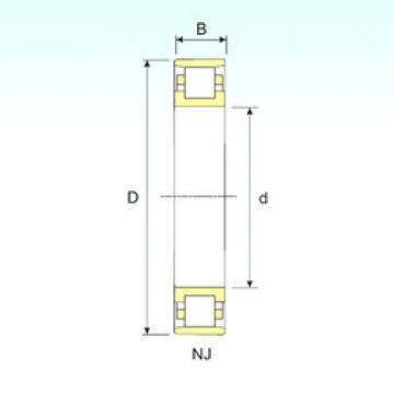 Cylindrical Roller Bearings N 18/1900 ISB