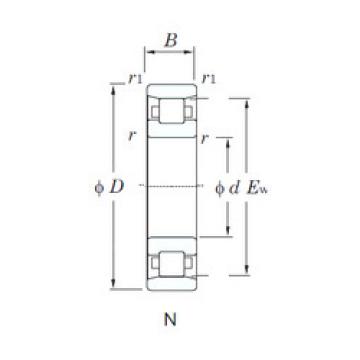 Cylindrical Roller Bearings N206 KOYO